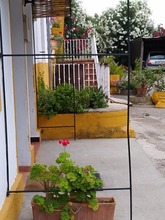El Antiguo Molino Guest House El Bosque Exterior foto